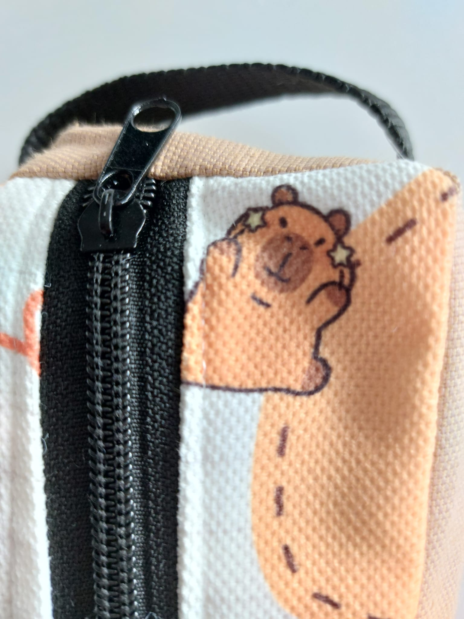 Quatro Capybara - Media 8